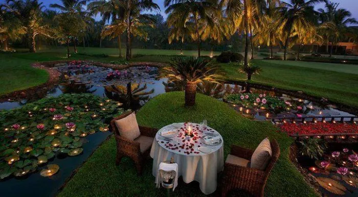 8498 maldives honeymoon