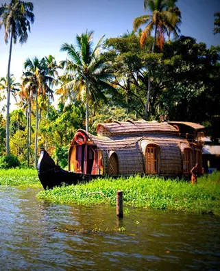 8499 kerala honeymoon