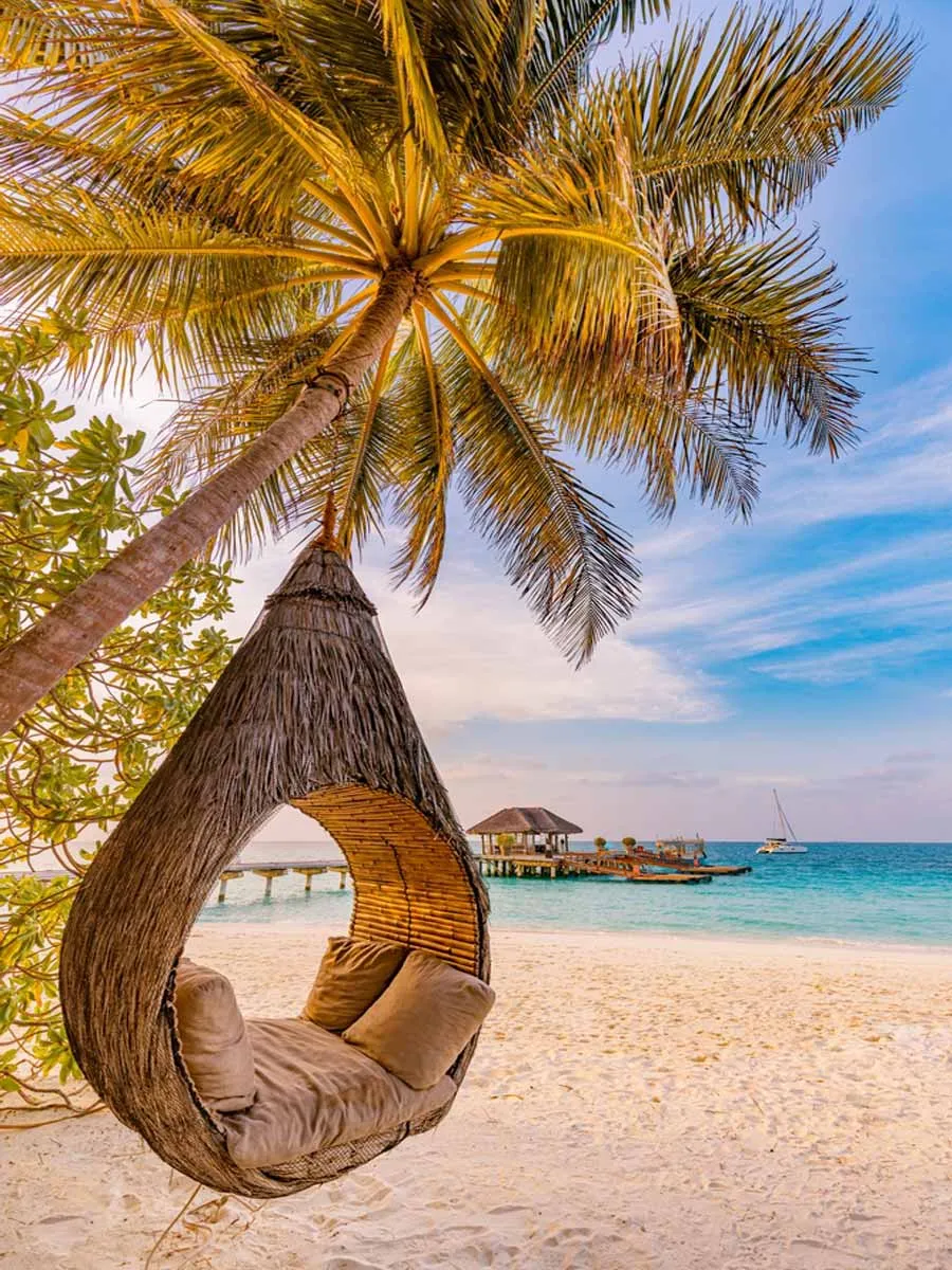 /img/8503-caribbean-cocktails.webp