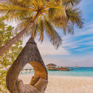 /img/8503-caribbean-cocktails.webp