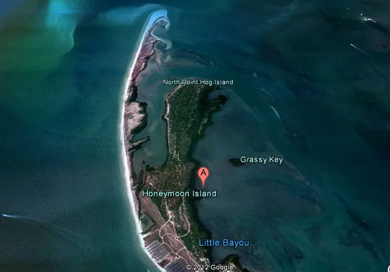 /img/8512-caladesi-island-ferry.webp
