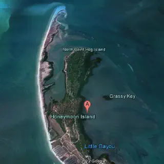 /img/8512-caladesi-island-ferry.webp