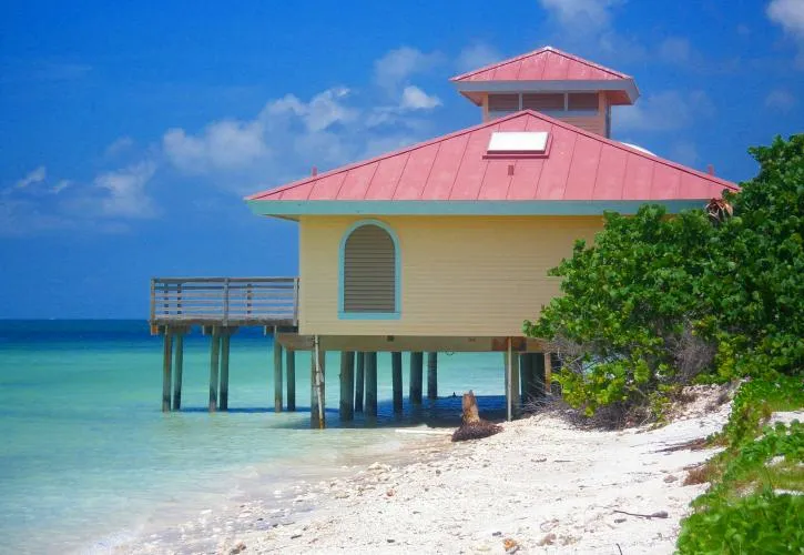 8512 honeymoon island wildlife