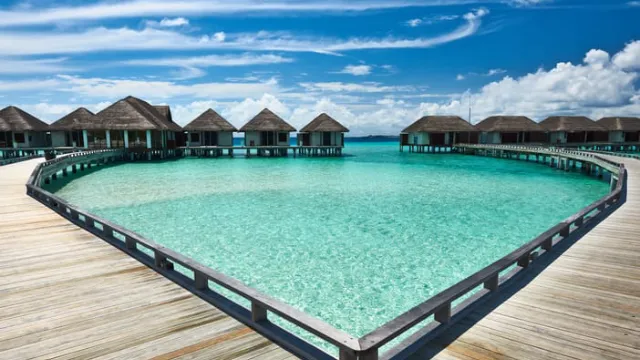 8519 bali honeymoon