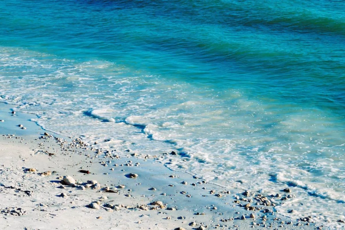 8529 honeymoon island beach