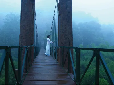 /img/8530-wayanad-honeymoon-best-time-to-visit.webp