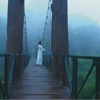 /img/8530-wayanad-honeymoon-best-time-to-visit.webp