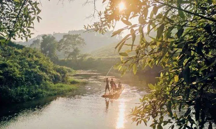 8530 wayanad honeymoon resort windflower