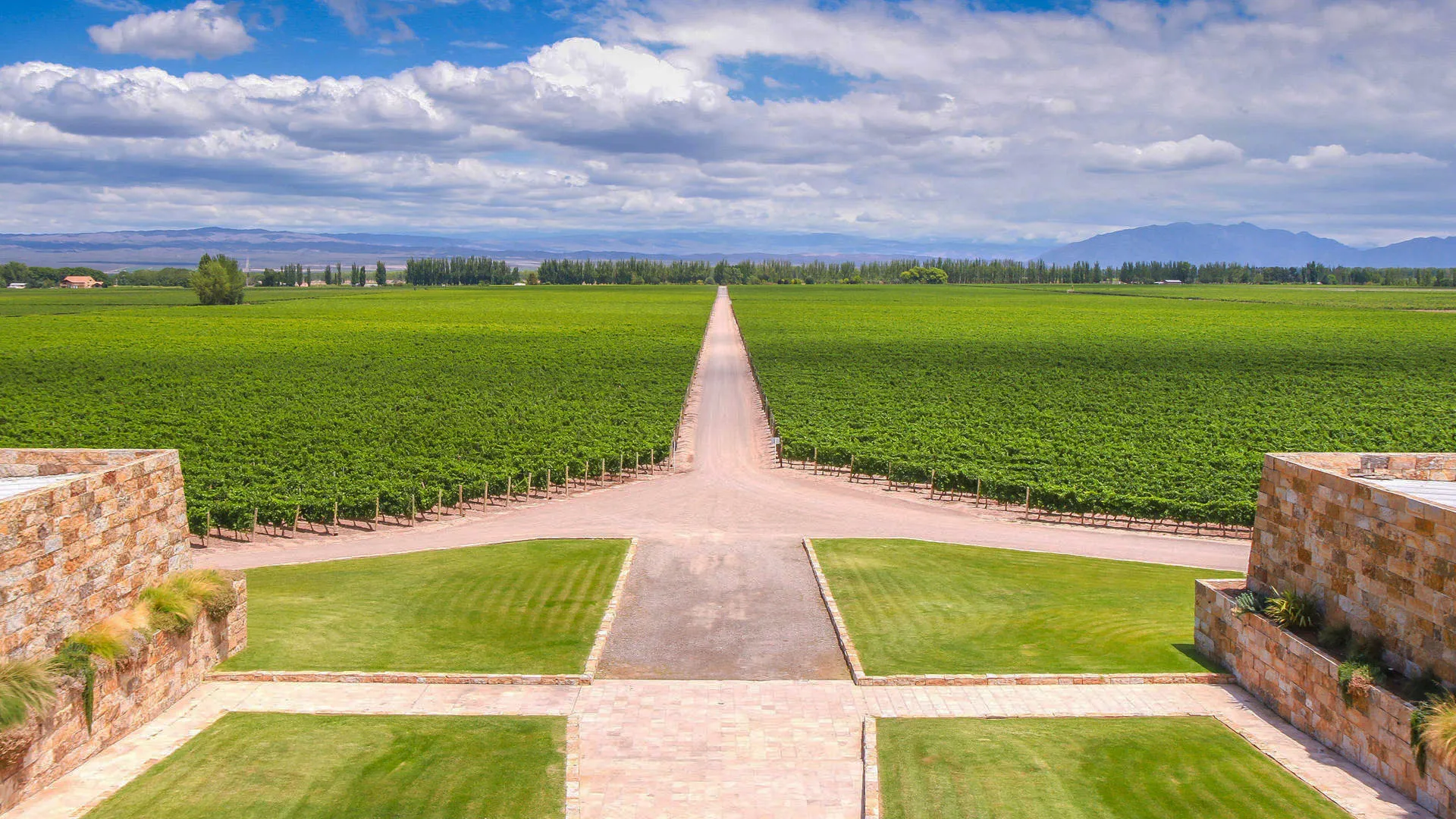 8541 mendoza wine honeymoon