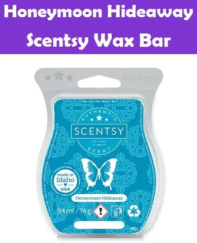 8544 scentsy hideaway activities