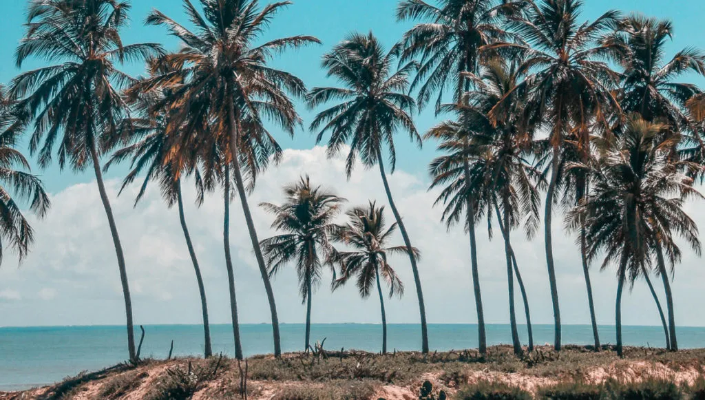 8550 bali indonesia