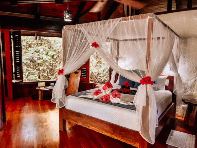8559 riu palace costa rica