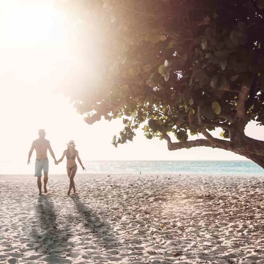 8572 divi tamarijn aruba