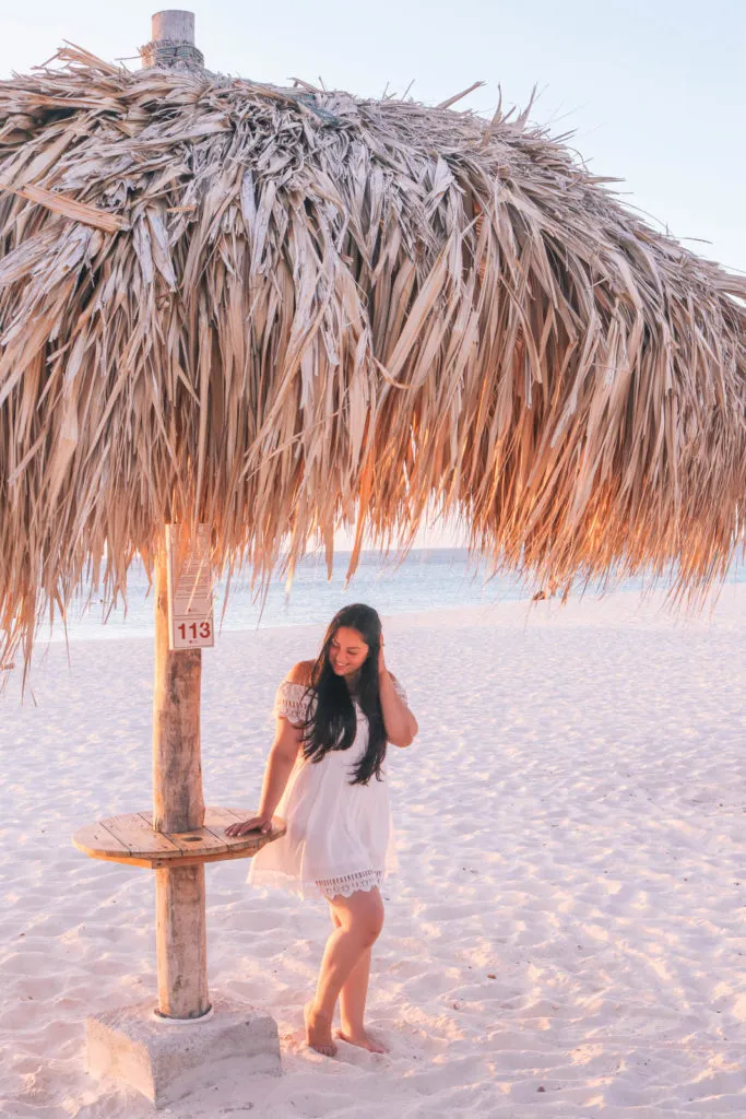 8572 hyatt regency aruba