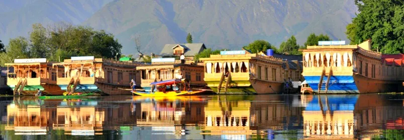 8585 darjeeling honeymoon