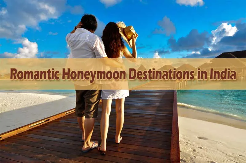 8585 manali honeymoon