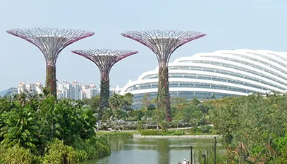 8587 singapore honeymoon adventure activities