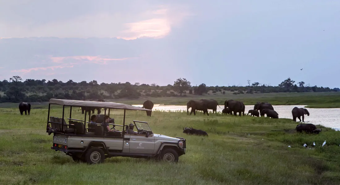 8589 botswana game drive
