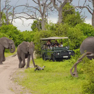 /img/8589-botswana-safari-packing.webp