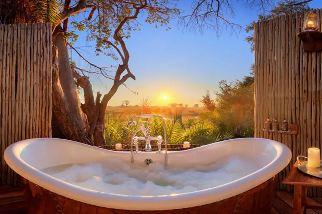 8589 botswana stargazing