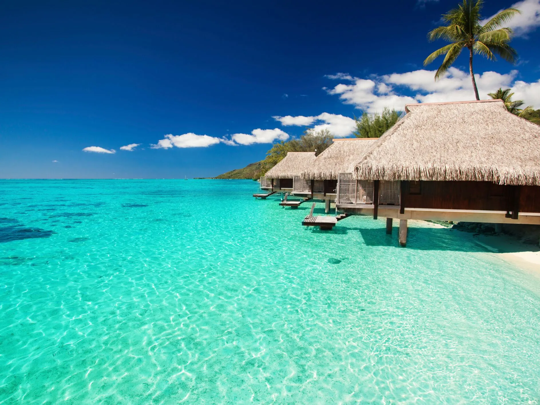 8591 greece honeymoon