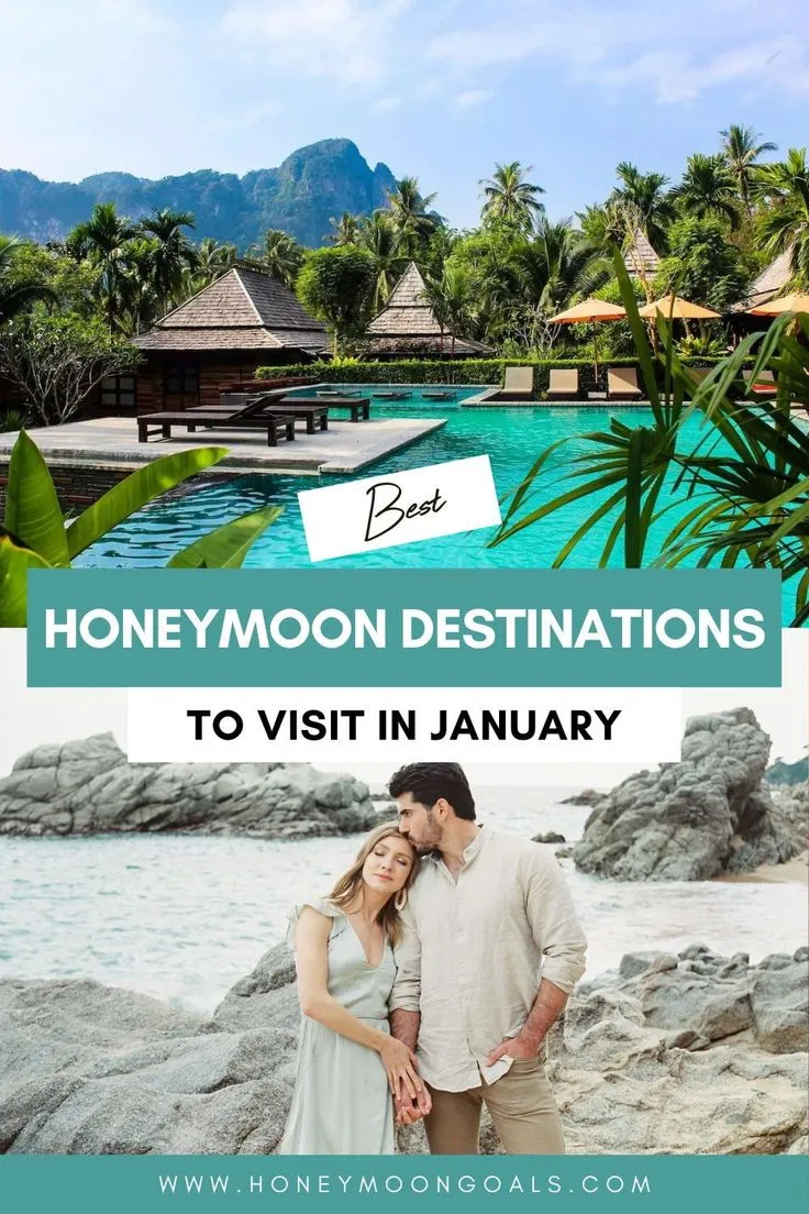 8594 honeymoon planning