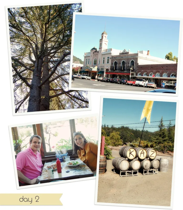 8595 napa romantic dinner