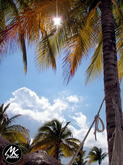 8598 punta sur cozumel