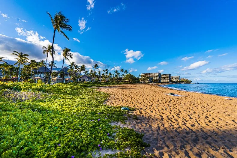 8610 maui honeymoon