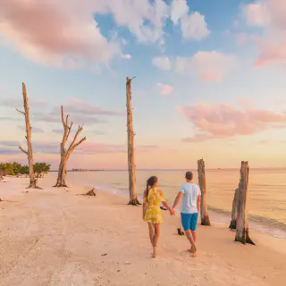 /img/8613-usa-honeymoon-beach-reviews.webp
