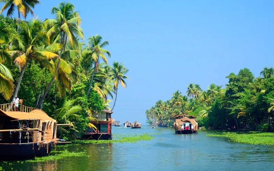 8622 munnar honeymoon budget friendly