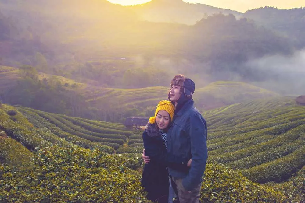 8628 chowrasta darjeeling
