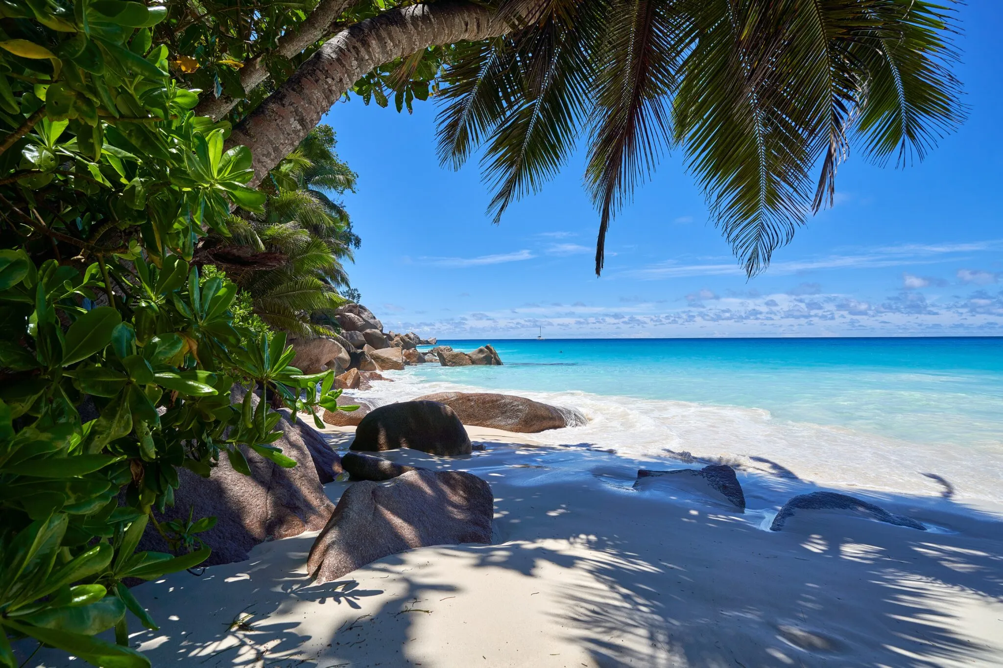 8641 bali honeymoon