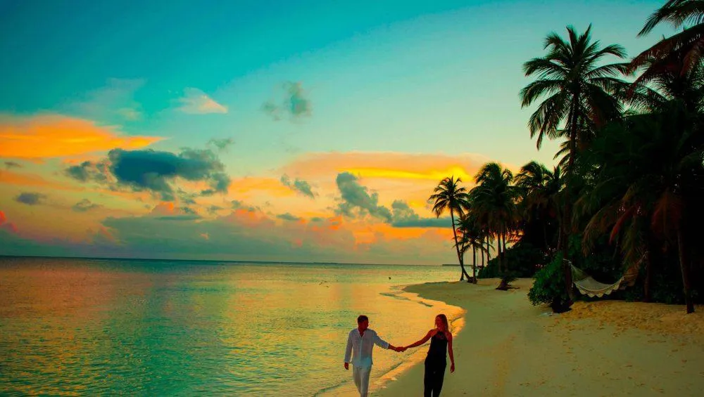 8644 kerala honeymoon