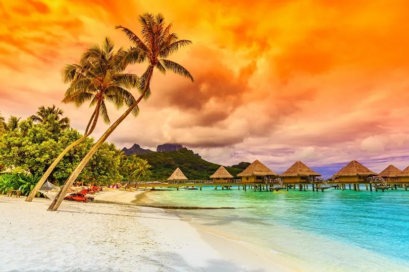 8645 bora bora honeymoon