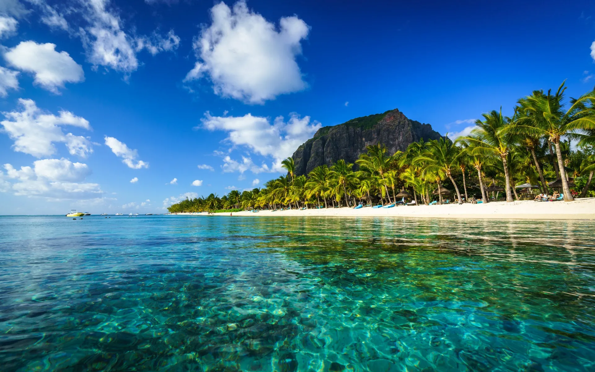 8645 honeymoon planning