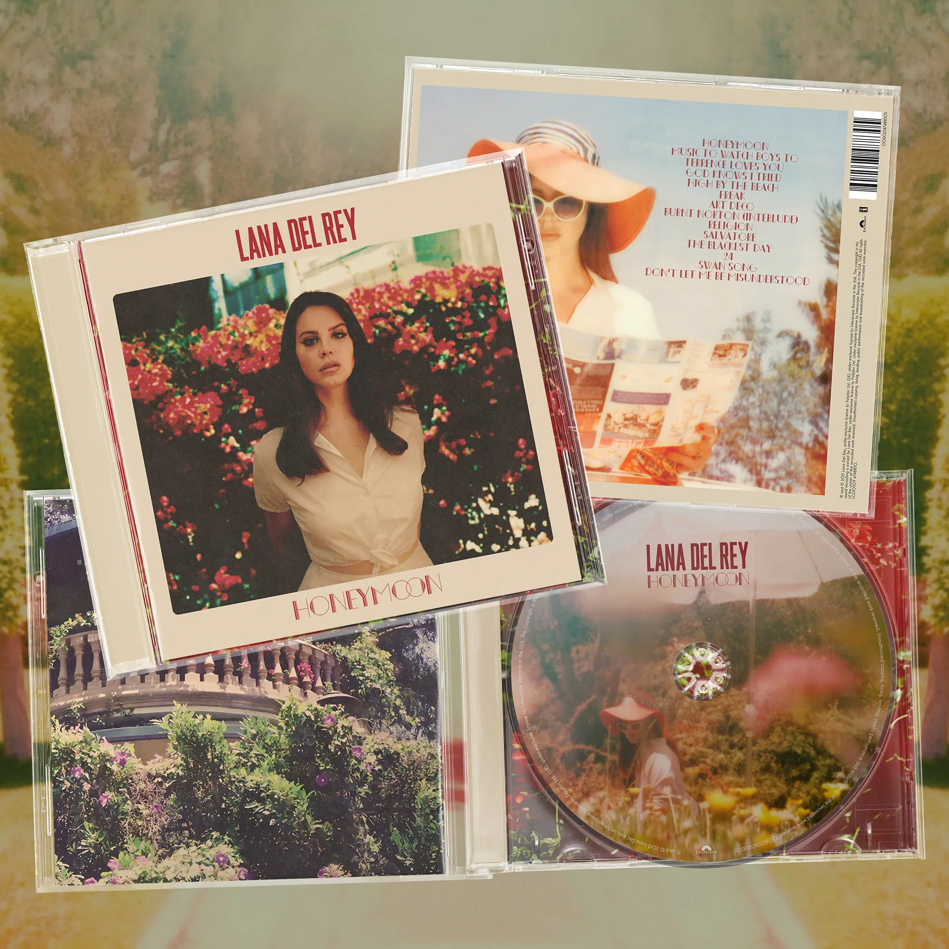 8646 lana del rey live performance