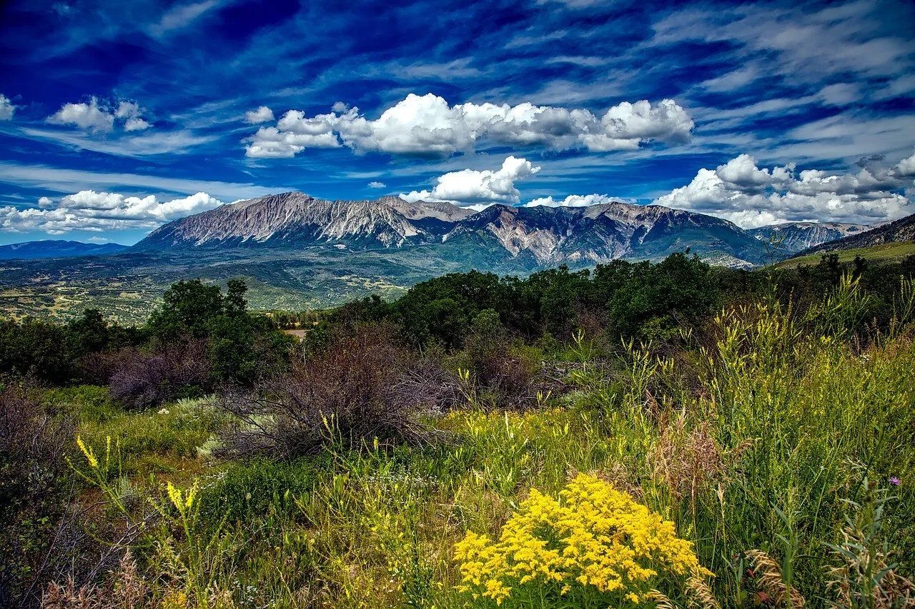 8649 crested butte honeymoon