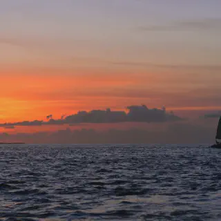 /img/8651-little-palm-island.webp