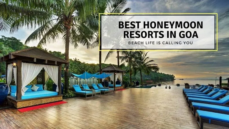/img/8654-goa-honeymoon-sunset.webp