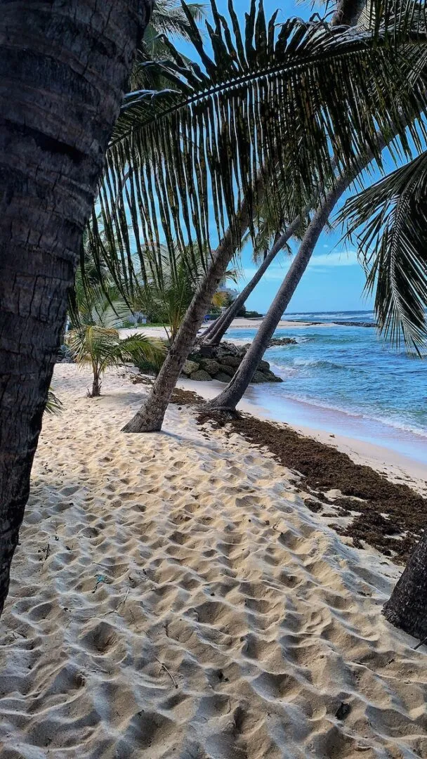 8658 maldives honeymoon