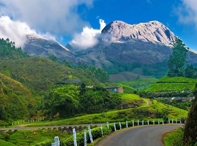 8665 kerala honeymoon
