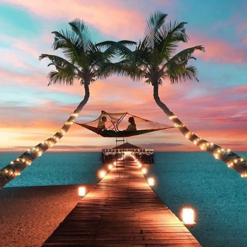8677 maldives honeymoon