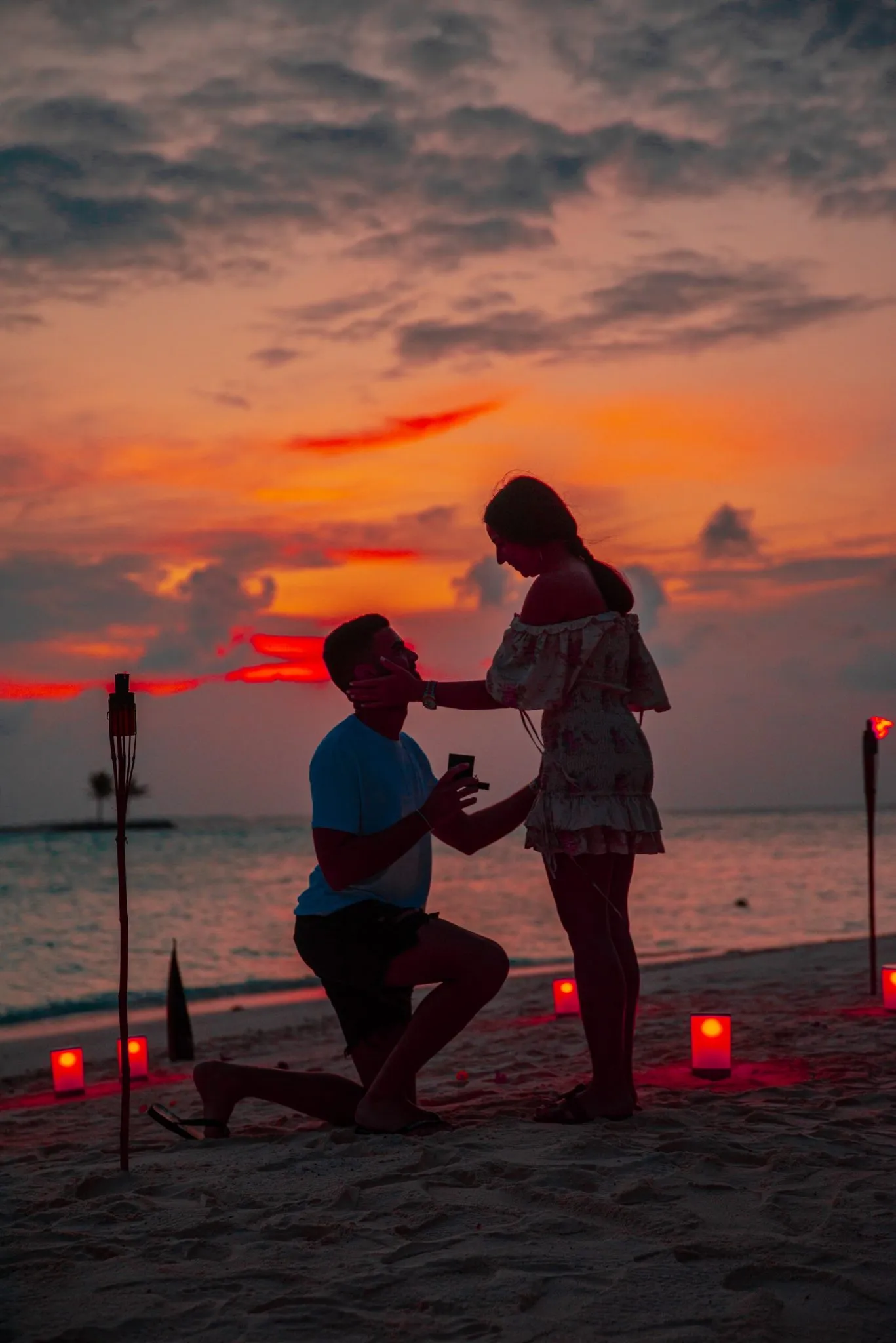 8683 honeymoon itinerary