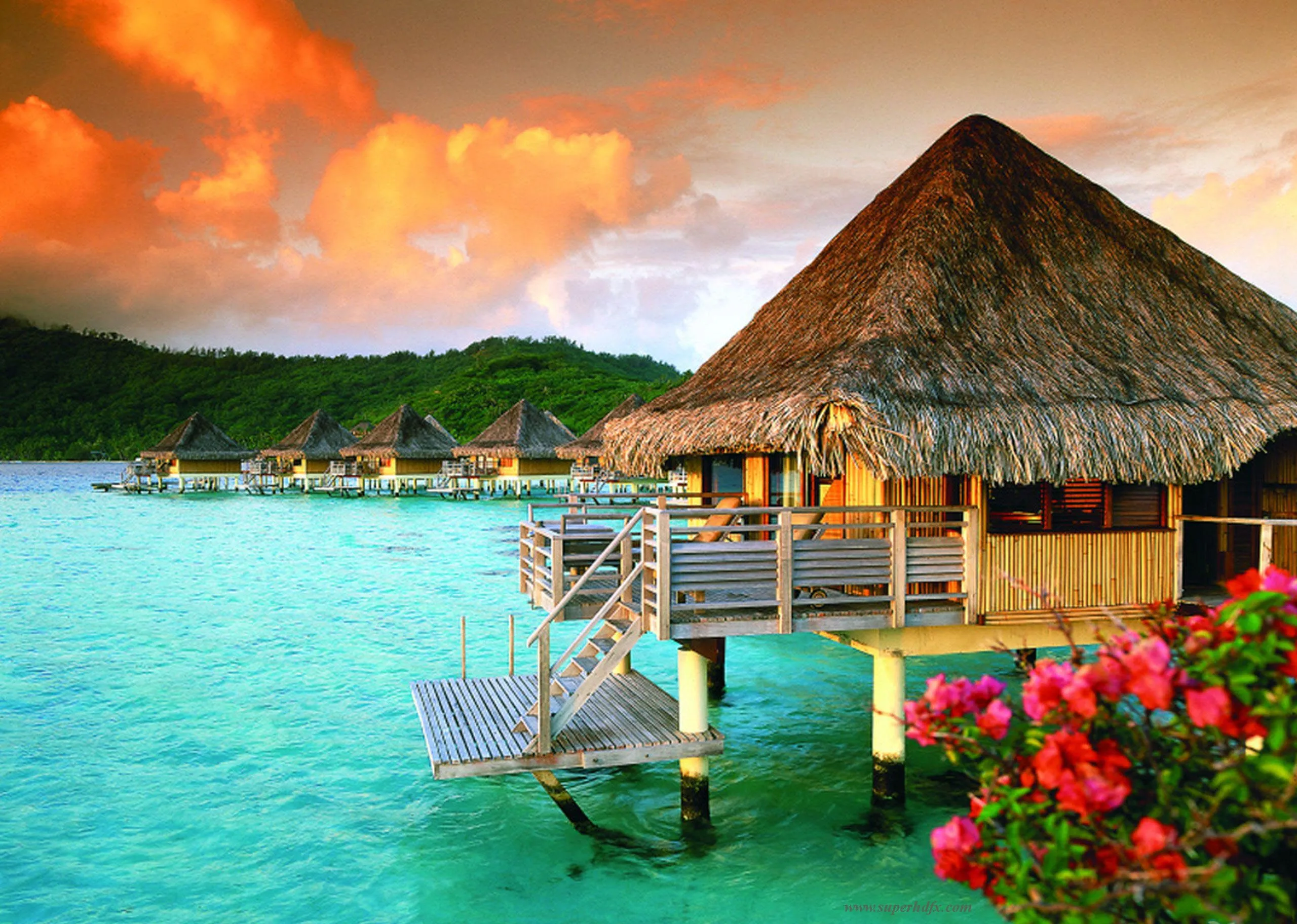 8684 andaman honeymoon beach