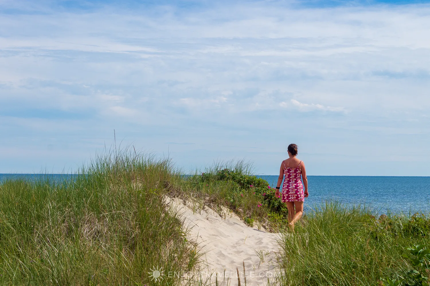 8689 cape cod whale watching