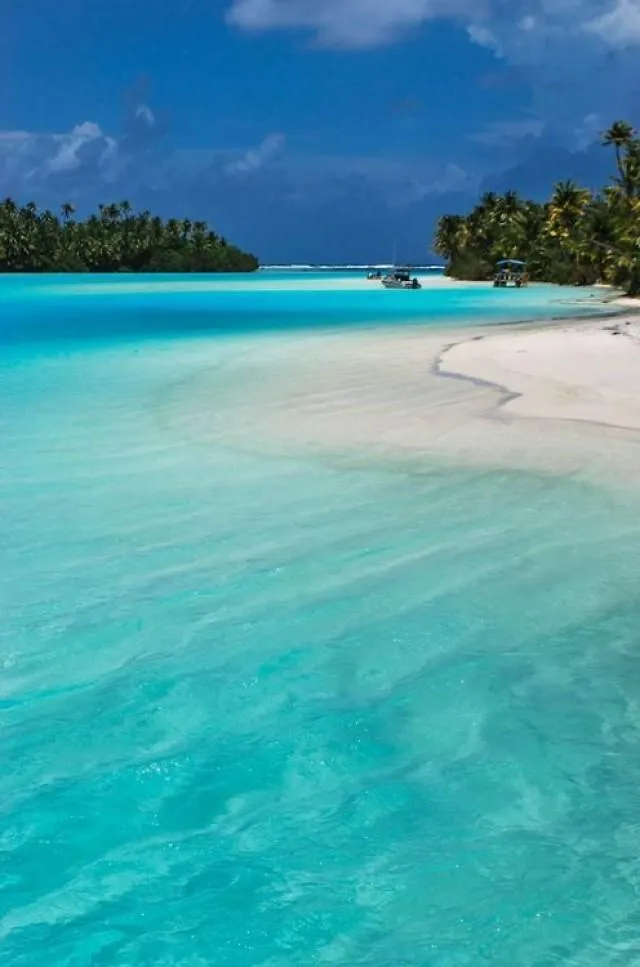 8692 honeymoon island car rental
