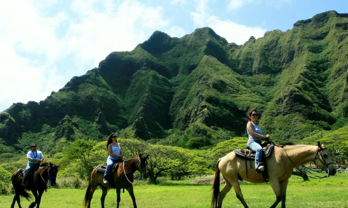 8699 hawaii honeymoon couple