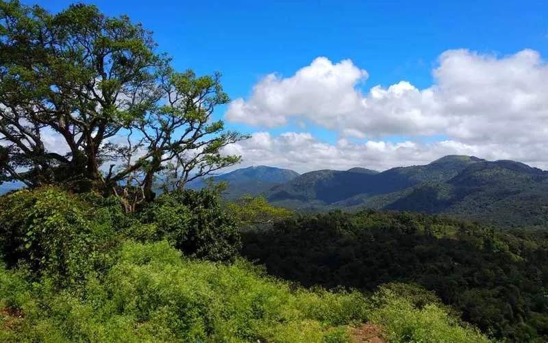 8713 chikmagalur honeymoon