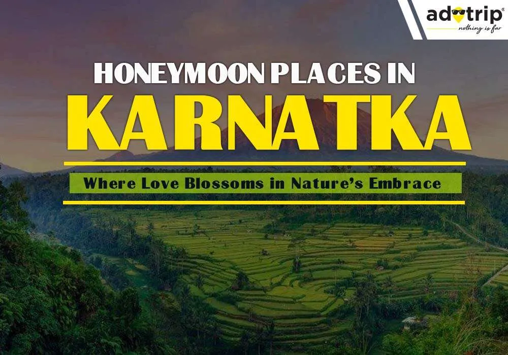 8713 coorg honeymoon